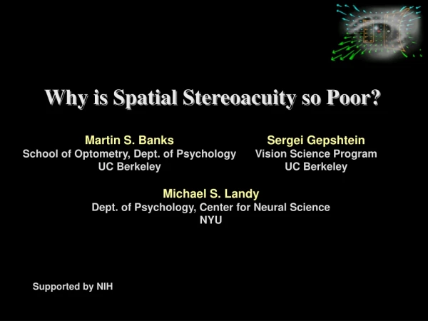 Why is Spatial Stereoacuity so Poor?