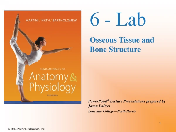 6 - Lab Osseous Tissue and Bone Structure