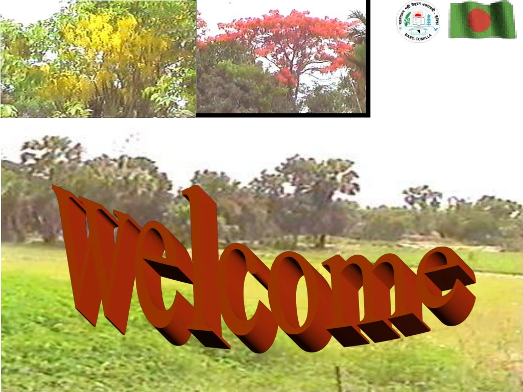 welcome