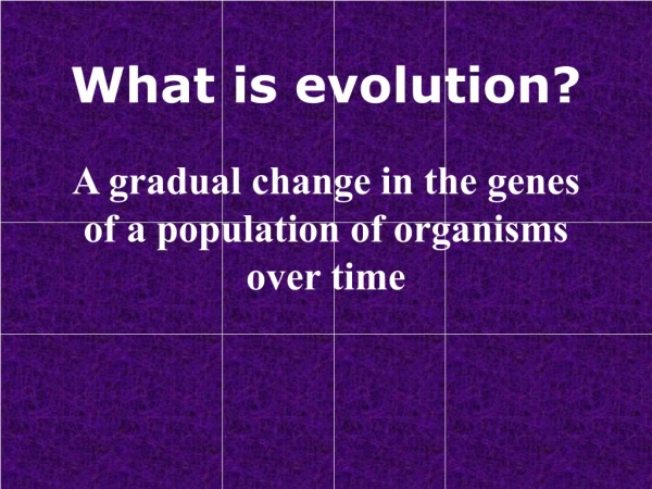 What is evolution?