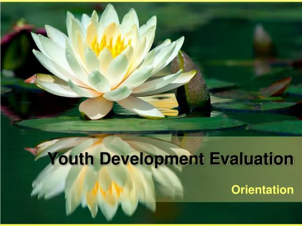 Youth Development Evaluation