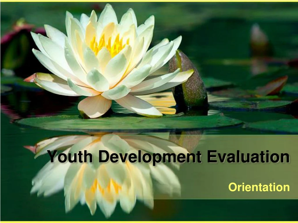 youth development evaluation