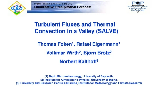 Turbulent Fluxes and Thermal Convection in a Valley (SALVE)