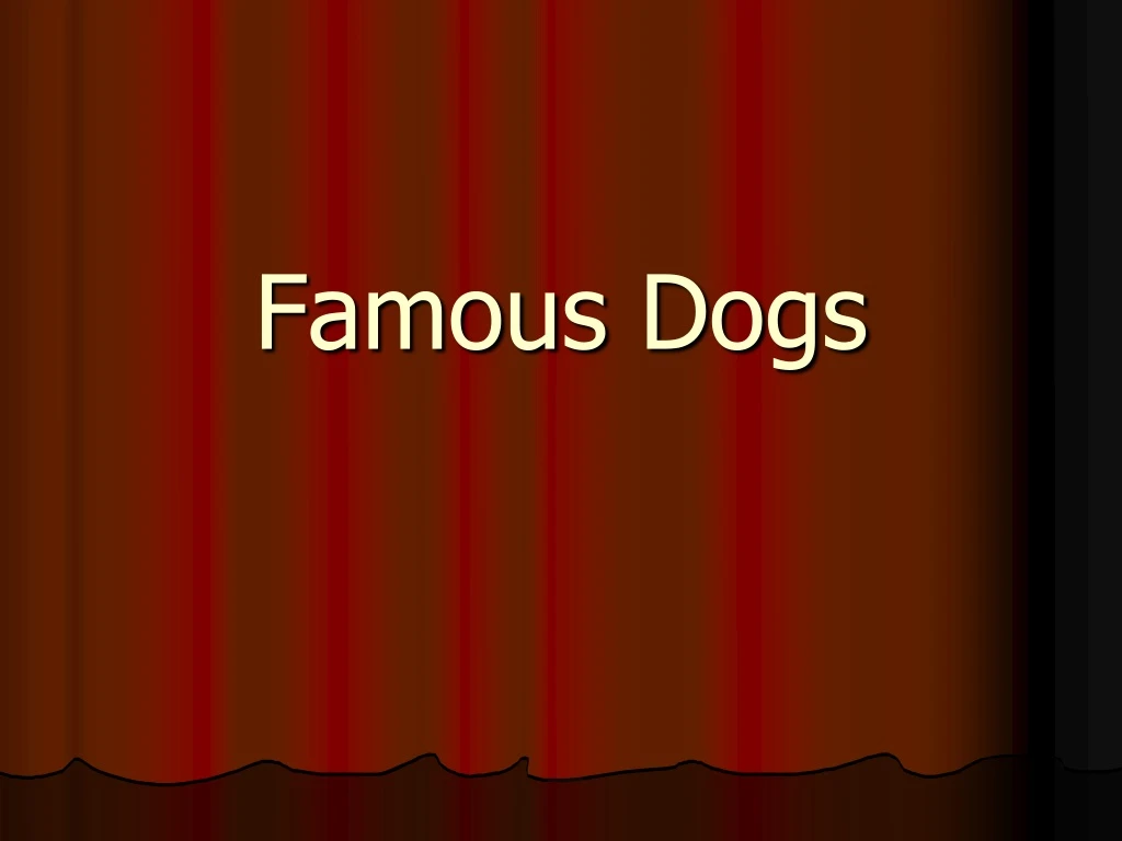 famous dogs