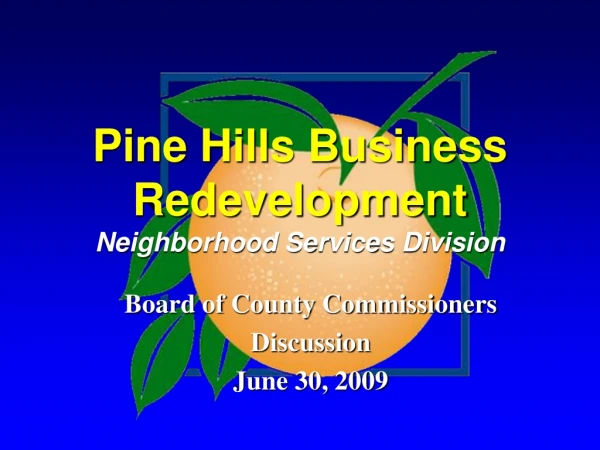 Pine Hills Business Redevelopment  Neighborhood Services Division