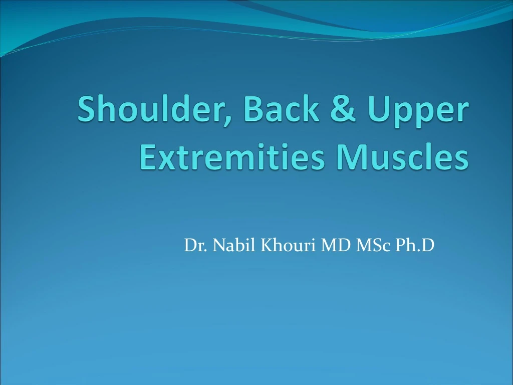 shoulder back upper extremities muscles