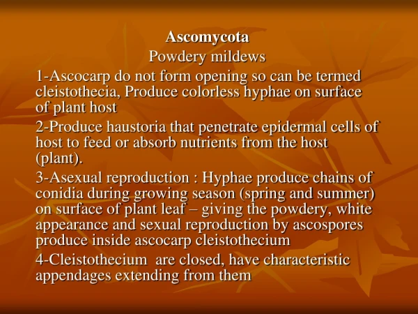 Ascomycota Powdery mildews