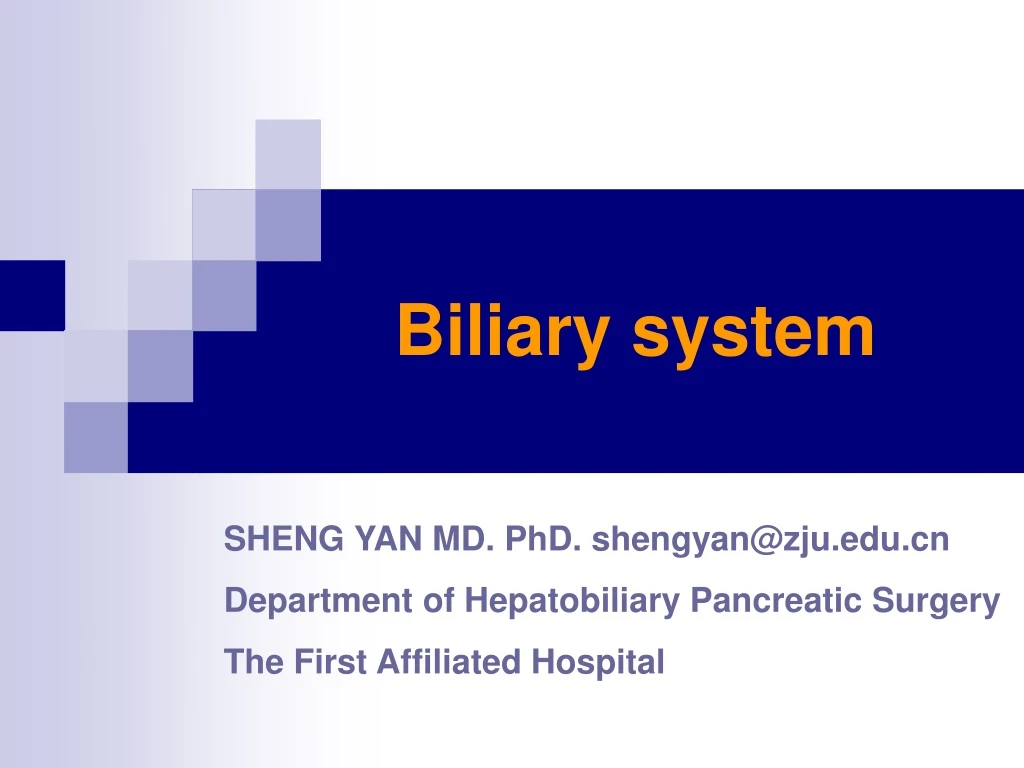 biliary system