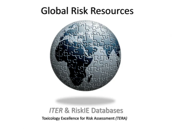 Global Risk Resources