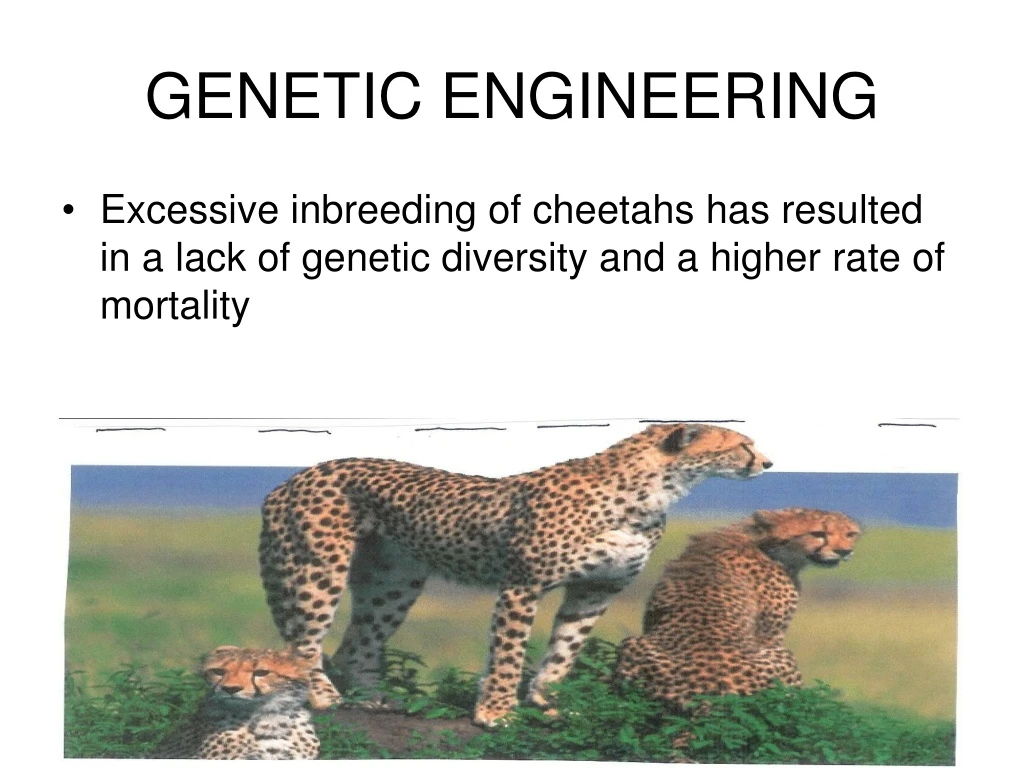 genetic engineering