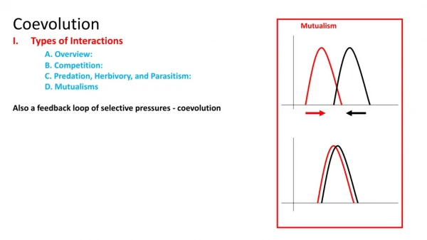 Coevolution Types of Interactions A. Overview: 	B. Competition: