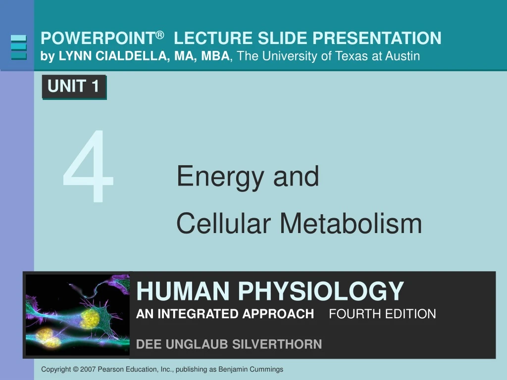 energy and cellular metabolism