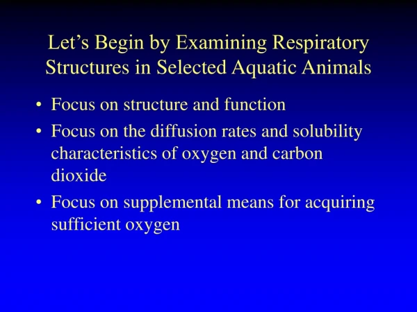 Let’s Begin by Examining Respiratory Structures in Selected Aquatic Animals