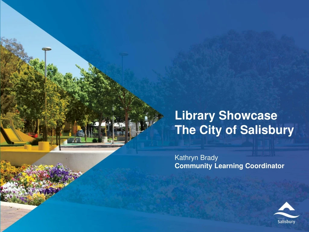 library showcase the city of salisbury