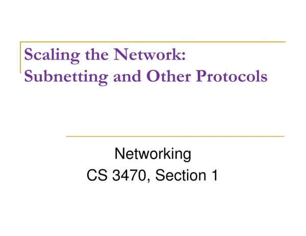 Scaling the Network: 	Subnetting and Other Protocols