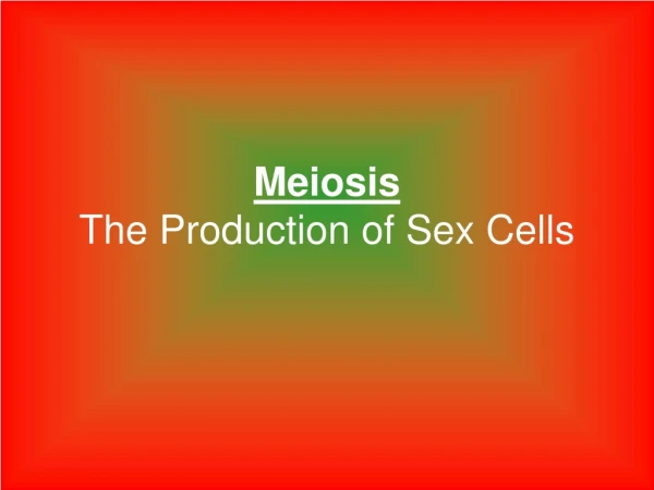 Meiosis The Production of Sex Cells