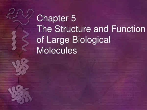 Chapter 5            The Structure and Function of Large Biological Molecules