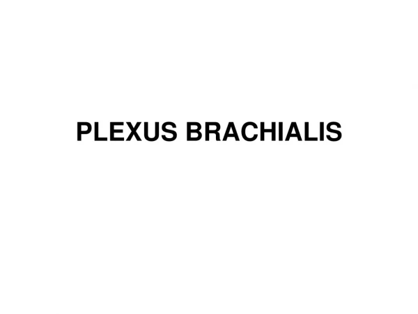 PLEXUS BRACHIALIS