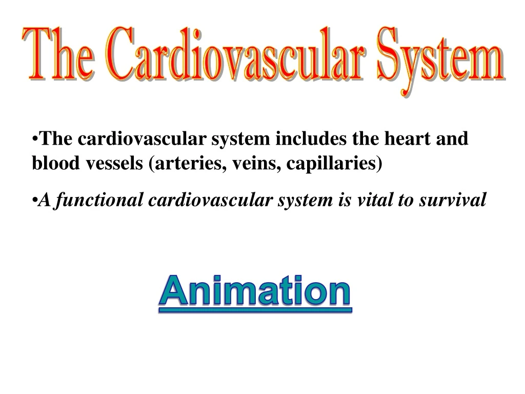 the cardiovascular system