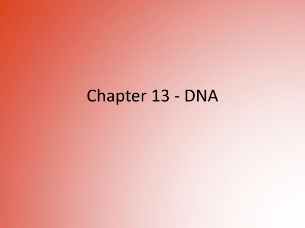 Chapter 13 - DNA