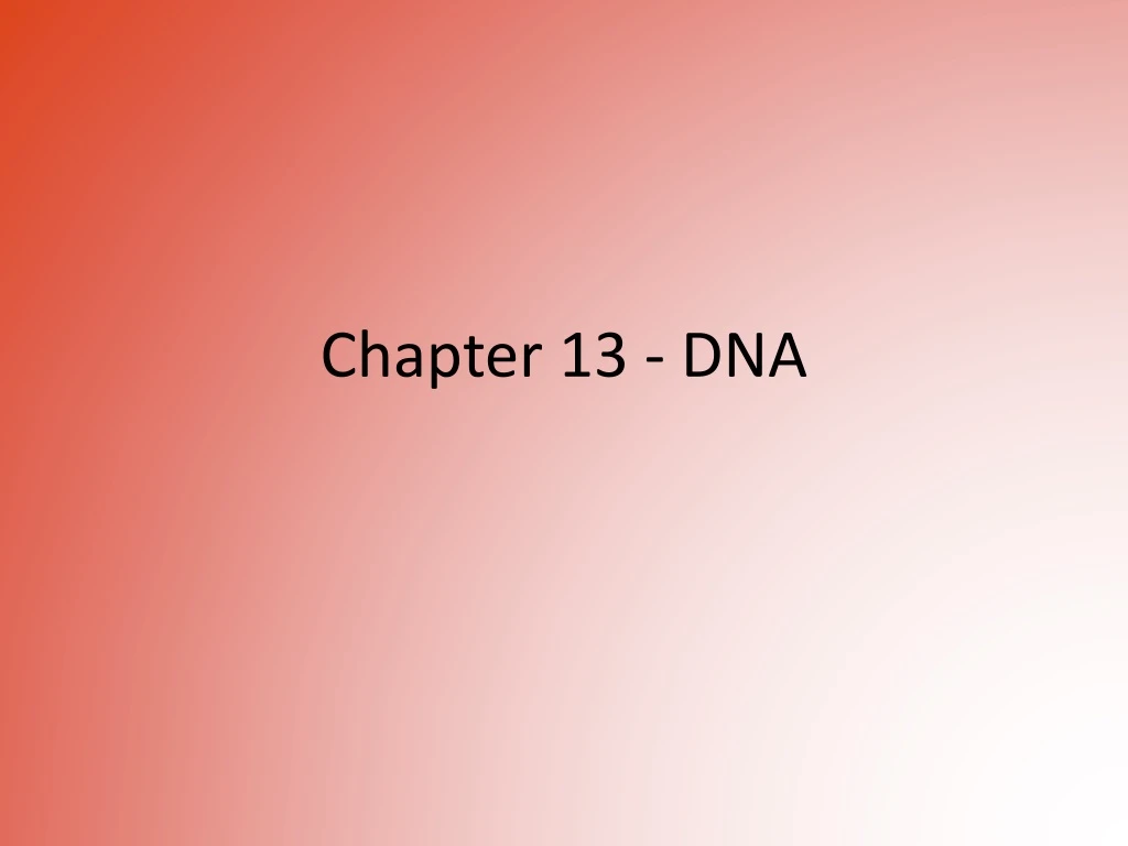 chapter 13 dna