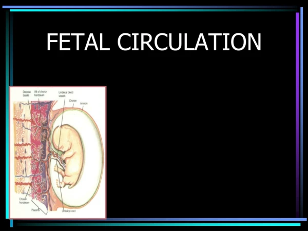 FETAL CIRCULATION