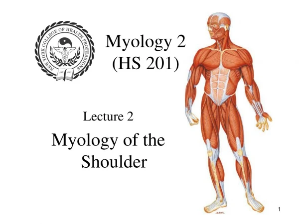 Myology 2  (HS 201)