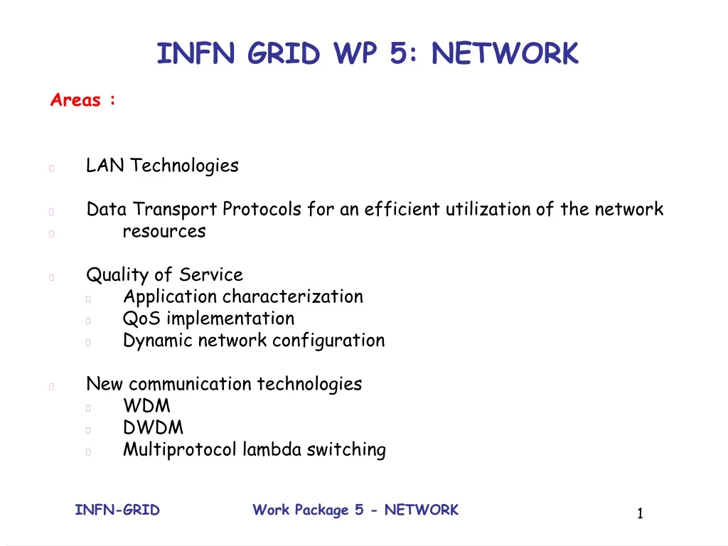 infn grid wp 5 network