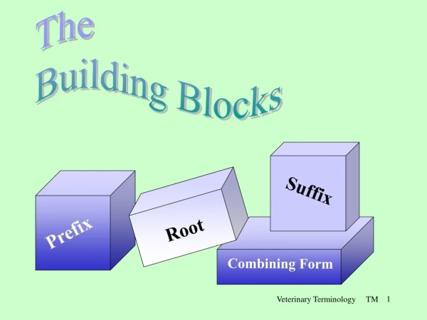 The Building Blocks