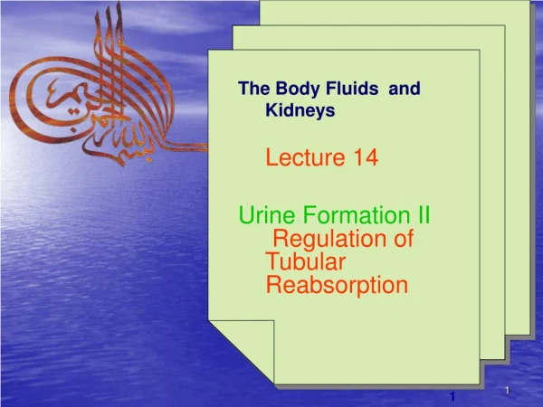 The Body Fluids  and Kidneys 	Lecture 14 Urine Formation II 	 Regulation of Tubular Reabsorption