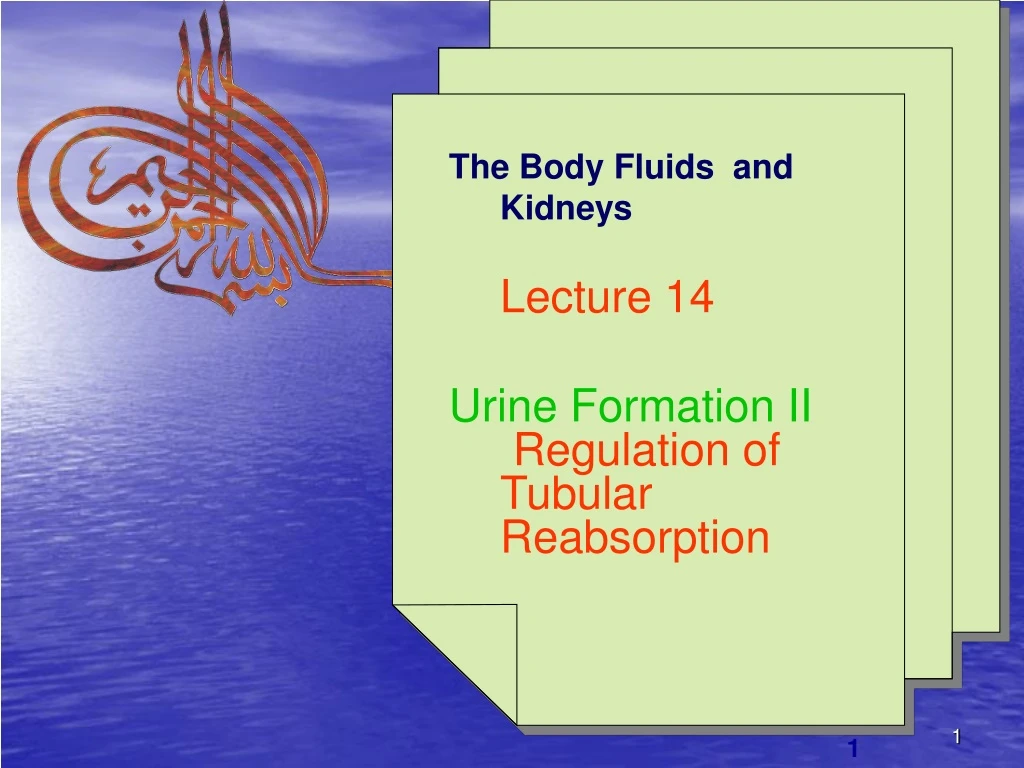 the body fluids and kidneys lecture 14 urine