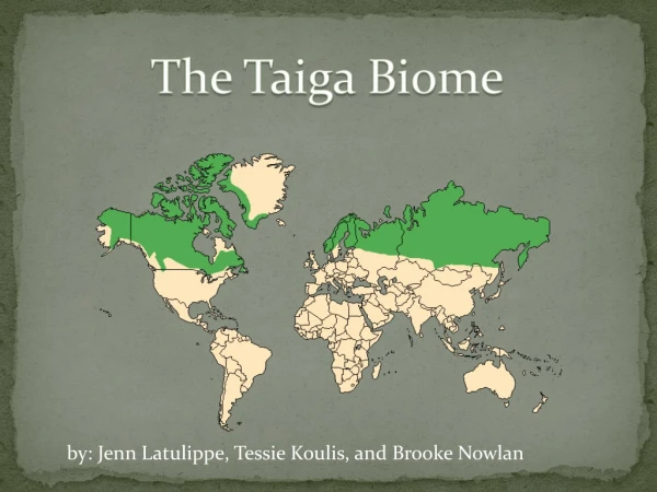 The Taiga Biome