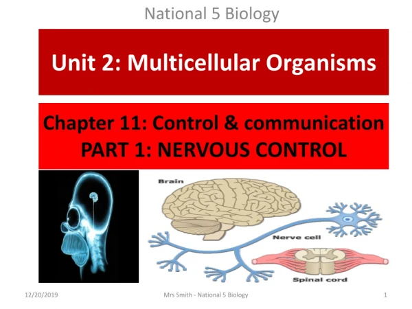 Chapter 11: Control &amp; communication PART 1: NERVOUS CONTROL