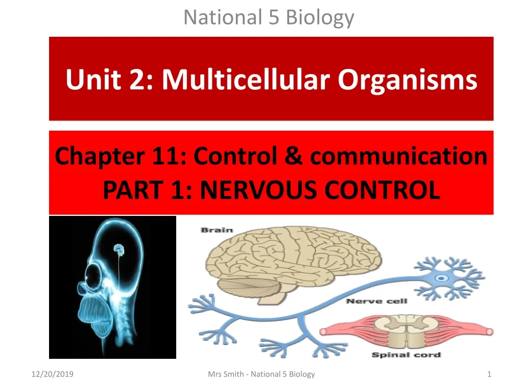 chapter 11 control communication part 1 nervous control