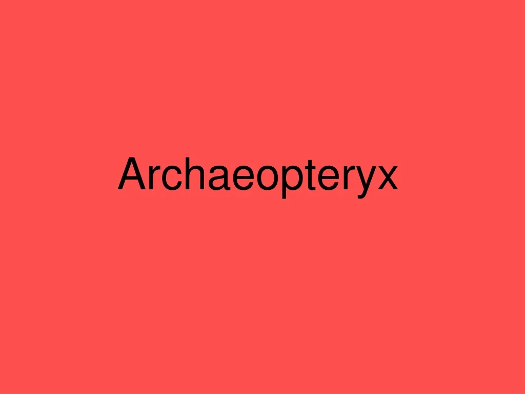 archaeopteryx