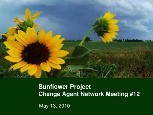 Sunflower Project Change Agent Network Meeting #12