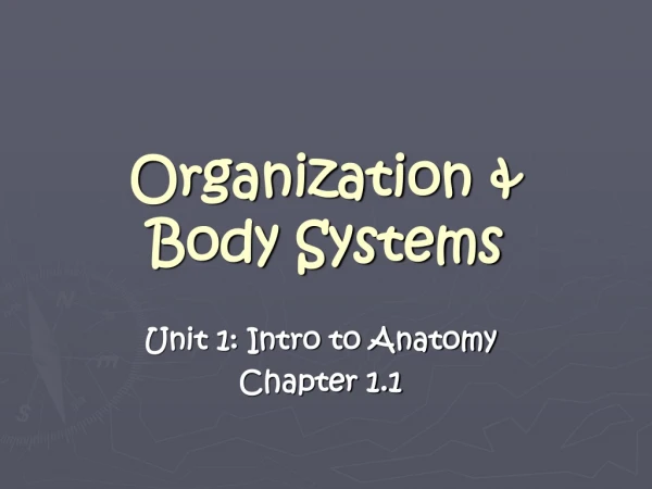 Organization &amp; Body Systems