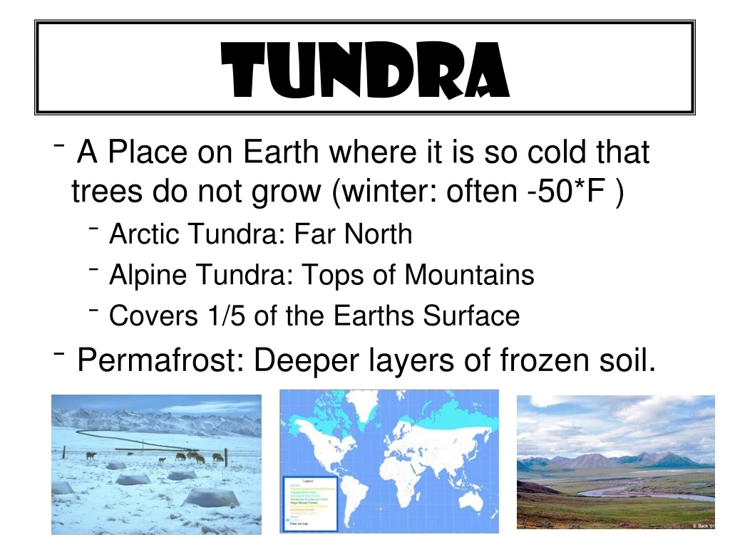 tundra