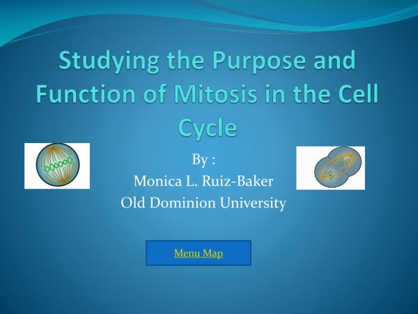 Studying the Purpose and Function of Mitosis in the Cell Cycle
