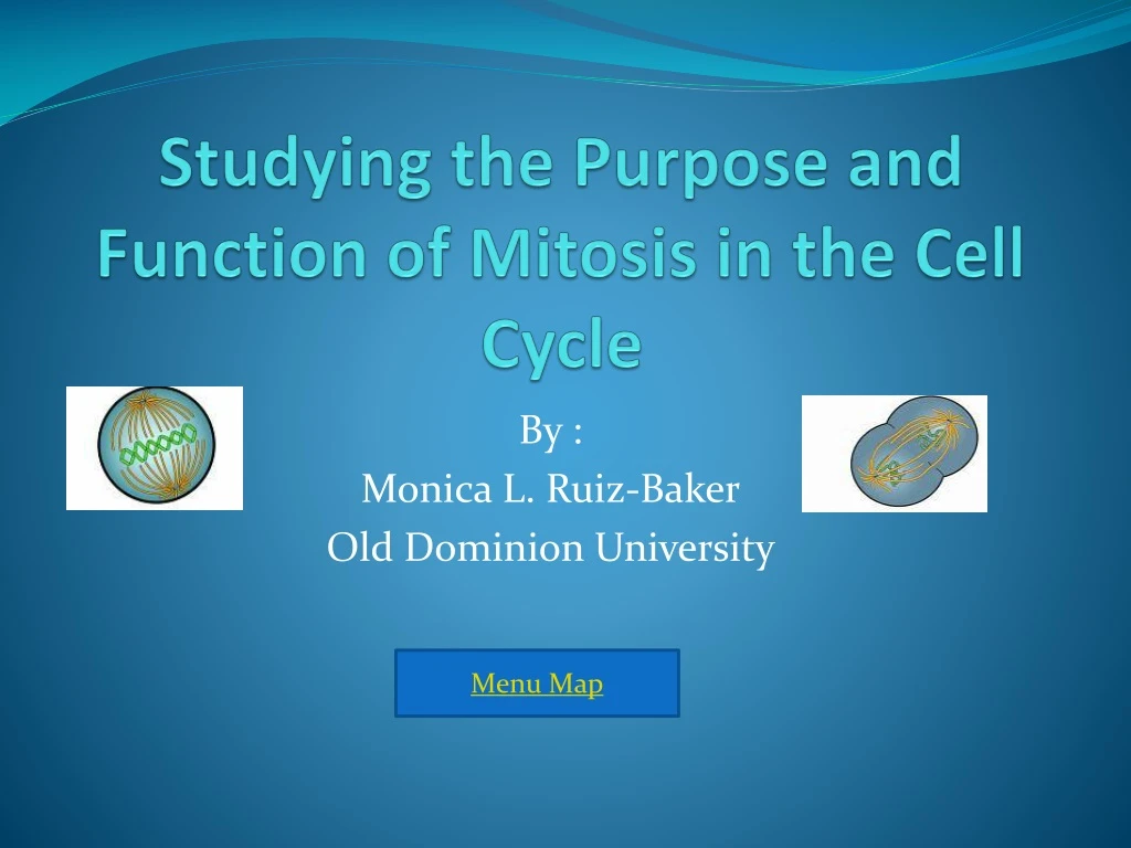 studying the purpose and function of mitosis in the cell cycle