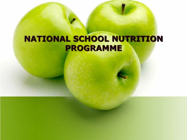 NATIONAL  SCHOOL NUTRITION PROGRAMME