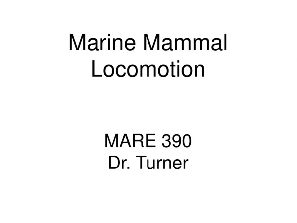 Marine Mammal Locomotion MARE 390 Dr. Turner