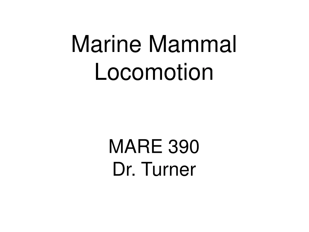 marine mammal locomotion mare 390 dr turner