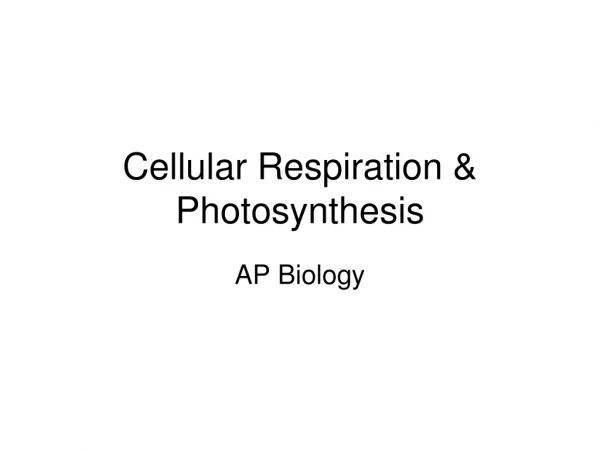 Cellular Respiration &amp; Photosynthesis