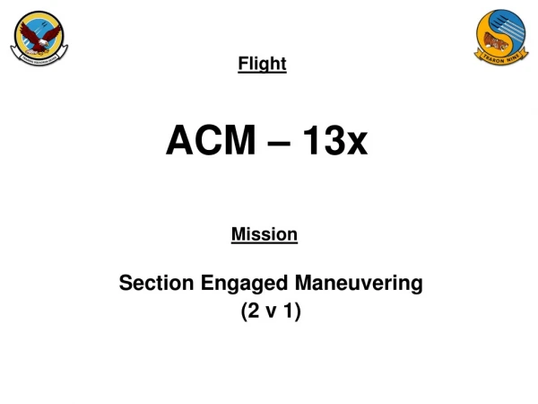 ACM – 13x