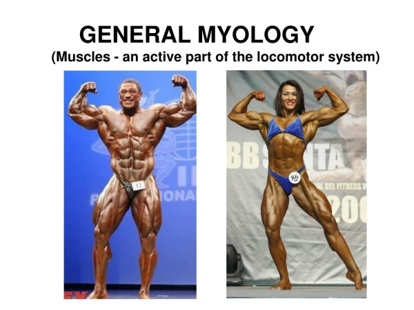 GENERAL MYOLOGY (Muscles -  an active part of the locomotor system )