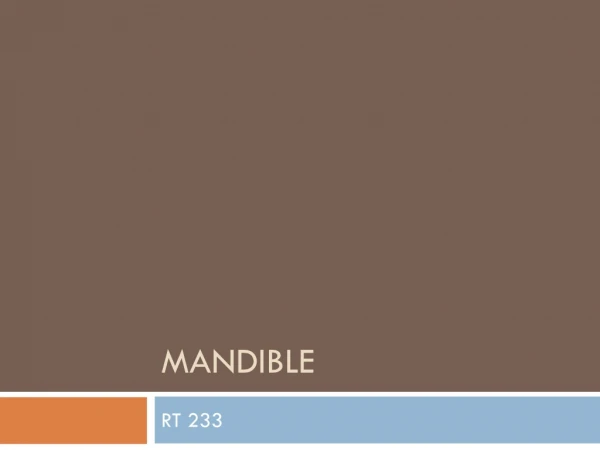 MANDIBLE