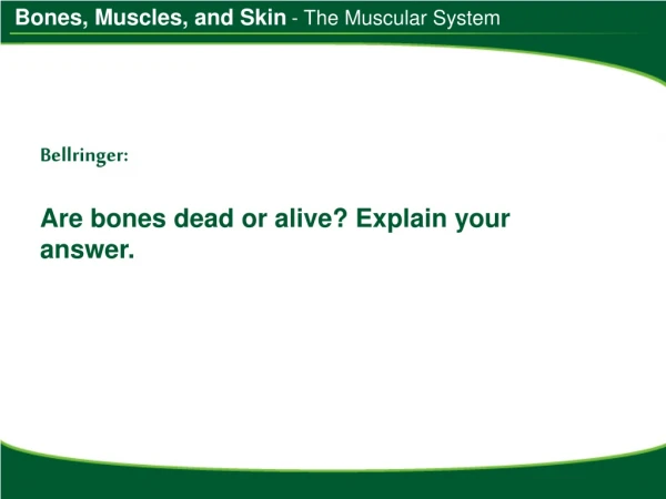 Bellringer: Are bones dead or alive? Explain your answer.