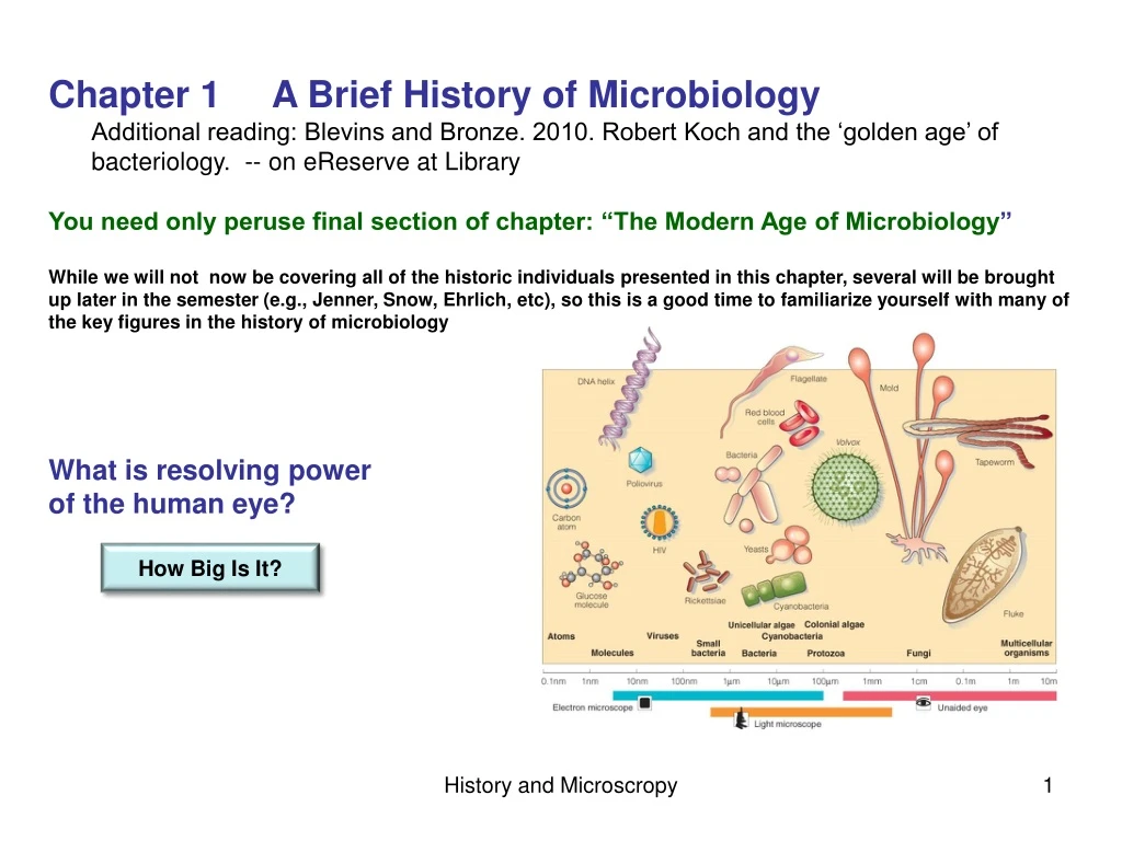 chapter 1 a brief history of microbiology