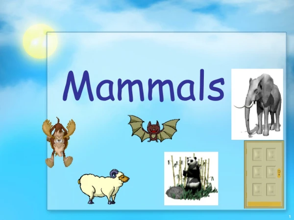 Mammals